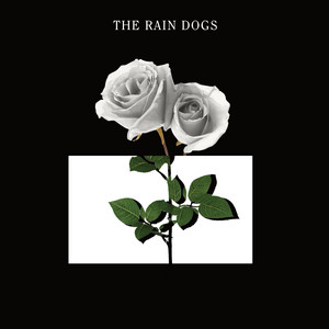 The Rain Dogs - Lovesong
