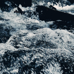 something in the water by hazel