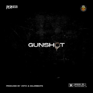 Portada de Gunshot