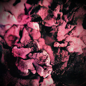Consume Me by Obzene