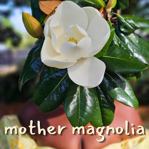Mother Magnolia by Dusky Waters