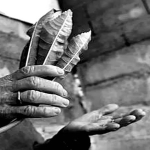 Cae Lopes - Ponto De Umbanda Sou Filho De Santo