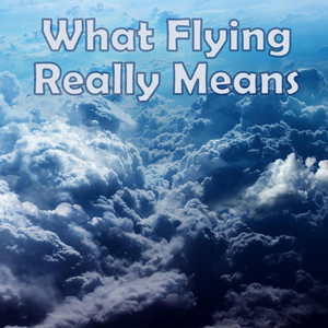 What Flying Really Means by Jason R Martin