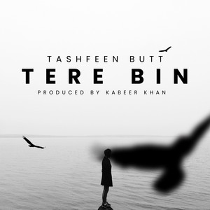 Tashfeen Butt & Kabeer Khan - Tere Bin