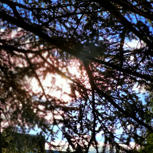 nature expressing itself