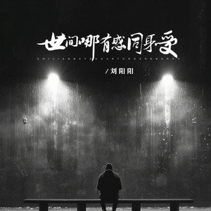 刘阳阳 - 世间哪有感同身受