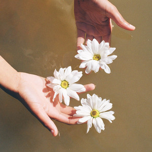Petals by Asi Kemera