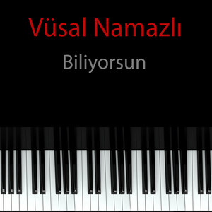 Biliyorsun by Vüsal Namazlı