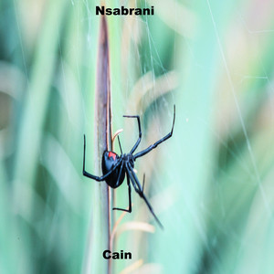 Cain - Nsabrani