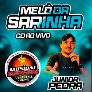 MELÔ DE SARINHA (Cd Ao Vivo) by Dj Junior Pedra