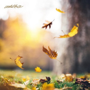 Following The Leaves by ædeltræ