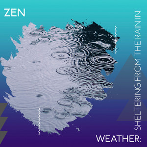 zZz Zen Weather: Sheltering from the Rain in the Moors zZz album
