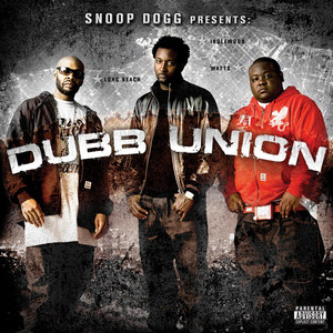Dubb Union album
