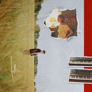 Fallin by Julian Schwarz, Alma