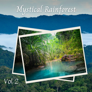 Mystical Rainforest Vol. 2 album