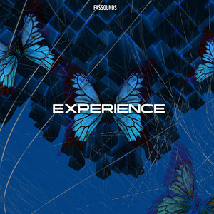 Fassounds - Experience