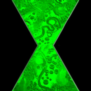 OMNITRIX - ROUGH MIX