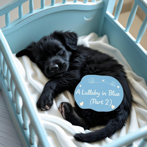 A Lullaby in Blue, Pt. 2 by Animal Rhythm RD
