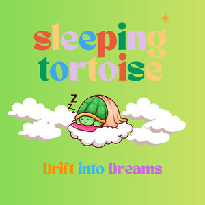 Beyond the Hidden Mountains by Sleeping Tortoise Album Cover