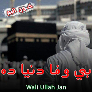 Wali Ullah Jan - مرګه سوال درته کومه