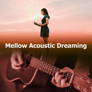 Strumming Reverb by Acoustic Covers Culture