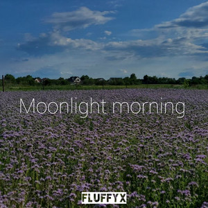 Обкладинка: Moonlight Morning