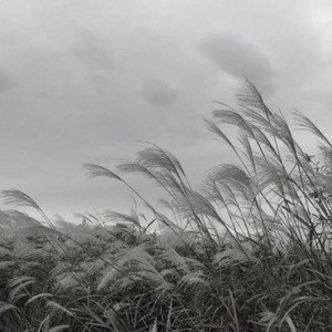 804 to 212 by Justin Williams