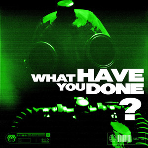 WHAT HAVE YOU DONE? by Slick Portal