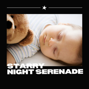 Starry Night Serenade: Soothing Lullaby Songs