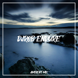 Endure — DJ Rob