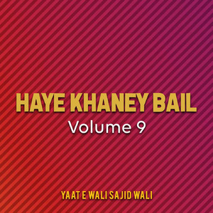 Yaat E Wali Sajid Wali - Jan E Man