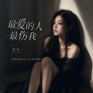 最爱的人最伤我 by 岚音
