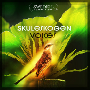 Skuleskogen Voices album