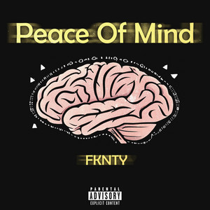 Fknty - Peace of Mind (Single)