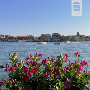 Waterfront by wood.