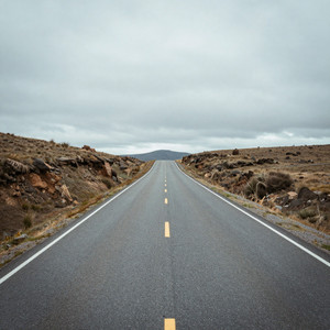 Lonely Road
