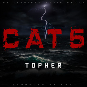 Cat 5 by Topher