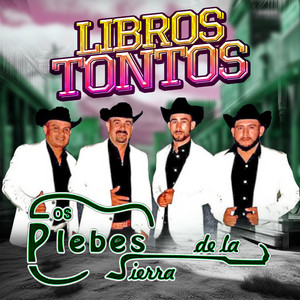 Libros Tontos