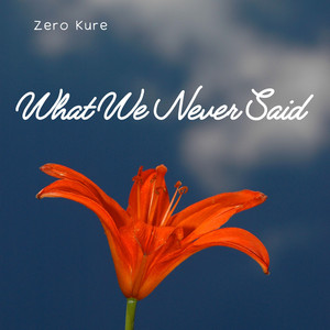 What we never said by Zero Kure
