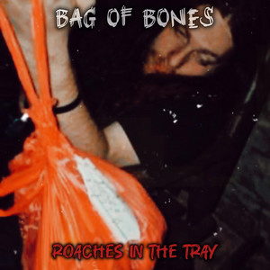 Bag of Bones by Roaches in the Tray