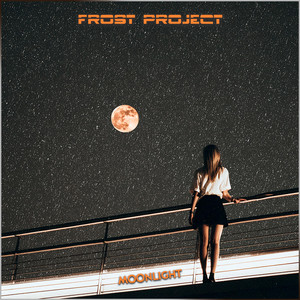 Moonlight by Frost Project