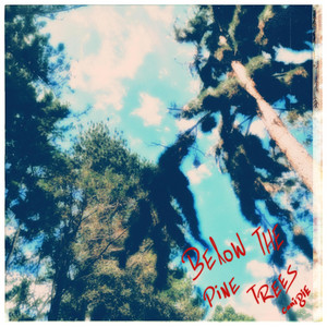 below the pine trees by canidie