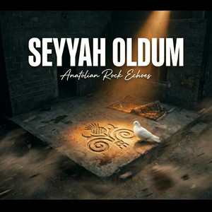 Seyyah Oldum