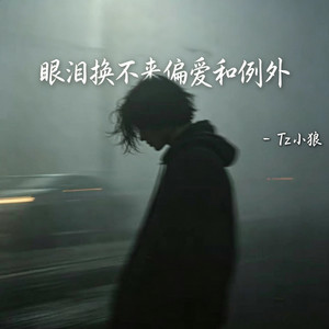 眼泪换不来偏爱和例外 ｜R&B 抖音歌 完整版｜-Tz小狼 by Fong-花