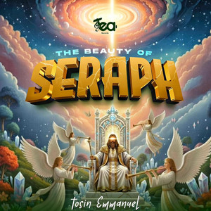 OFFICIAL TOSIN EMMANUEL - Beauty of Seraph
