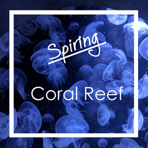 Coral Reef by Spiring
