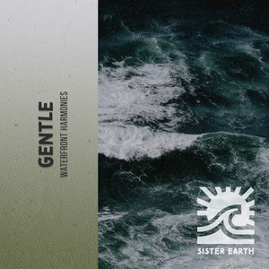 Gentle Waterfront Harmonies album