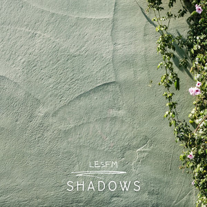 Shadows