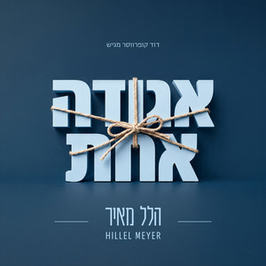 אגודה אחת by הלל מאיר