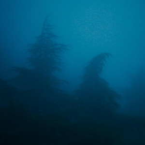 i remember less every time by Droplet
